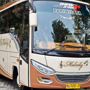 sewa bus pariwisata